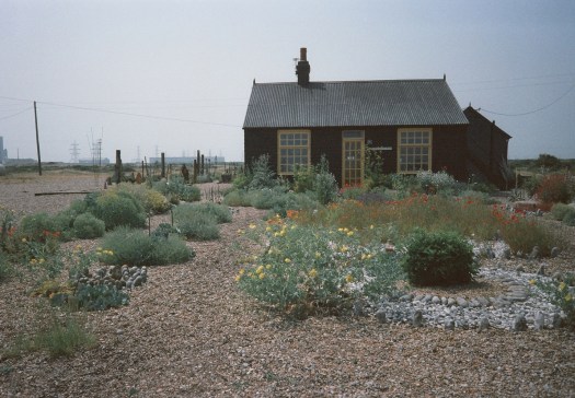 Derek Jarman's garden on the shingle beach. Dungerness. England.