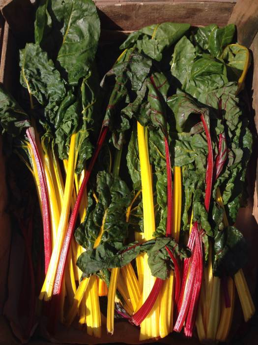 Swiss chard in a wooden box