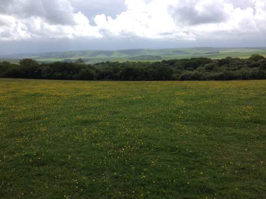 South Downs Way between Ditchling and Lewes.