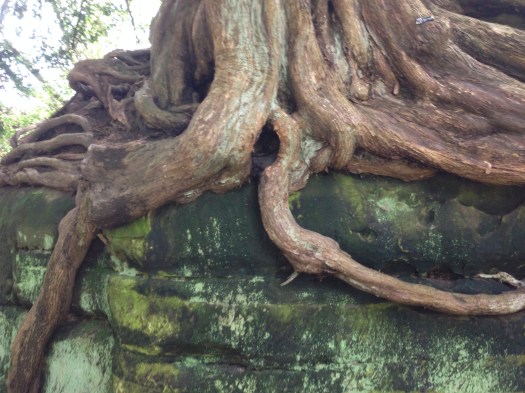 Wakeshurst Place East Sussex